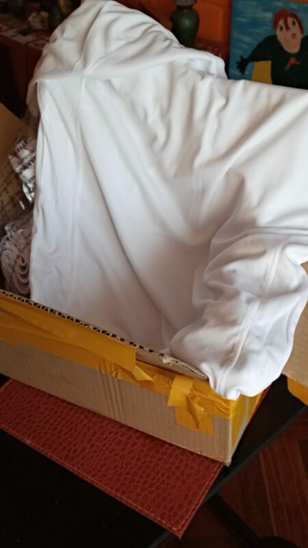 Imagen #1 de Mauro Proboste Landeros