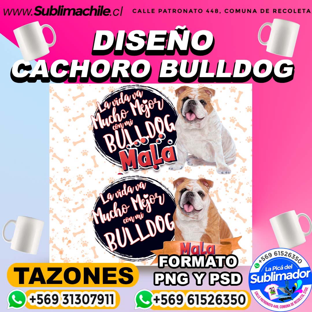 2 Diseños de Bulldog para Sublimar en Tazones Editables - PSD 1 2 Diseños de Bulldog para Sublimar en Tazones Editables - PSD