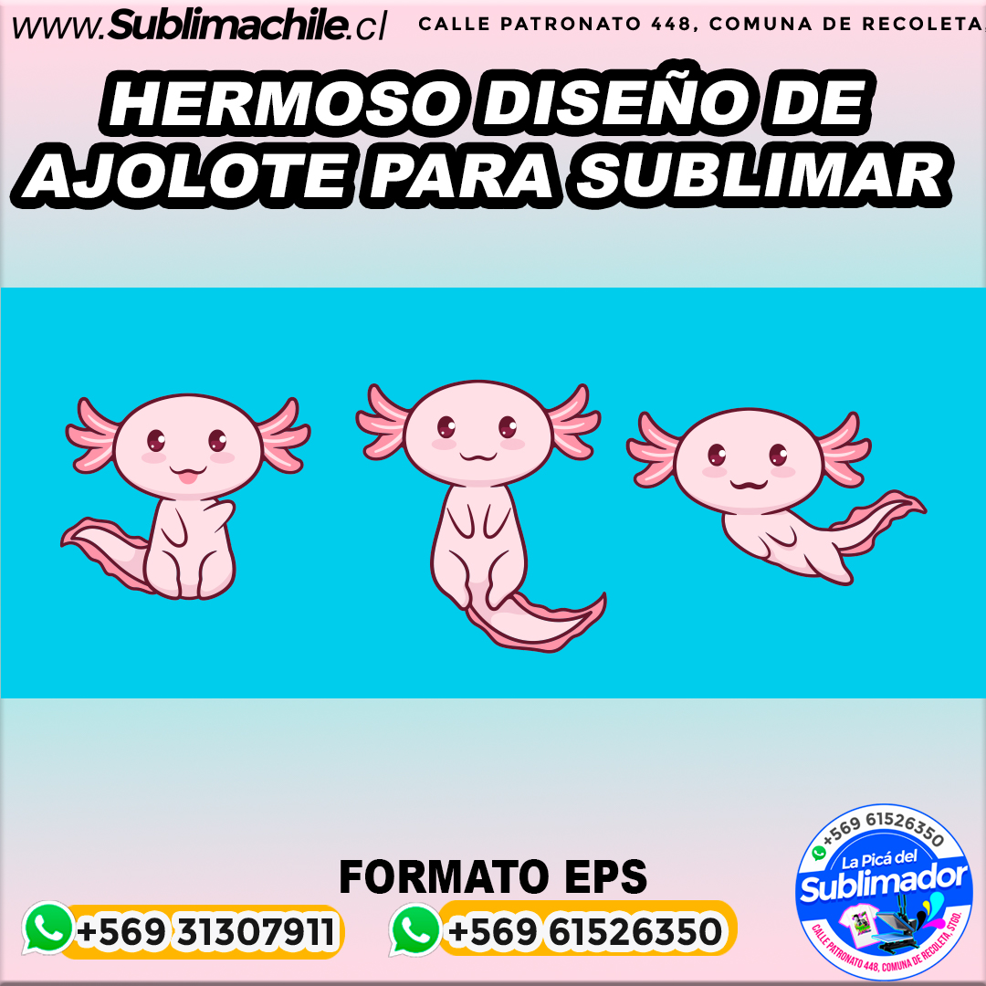 Un lindo diseño de Ajolote para sublimar - EPS 1 Un lindo diseño de Ajolote para sublimar - EPS