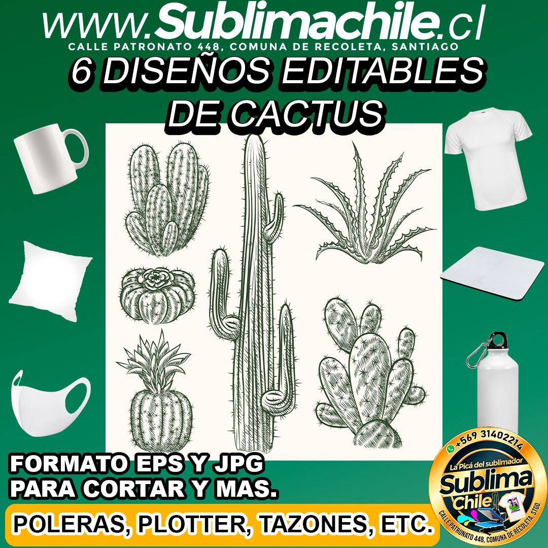 6 Diseños editables de cactus para sublimar - EPS, JPG 1 6 Diseños editables de cactus para sublimar - EPS, JPG