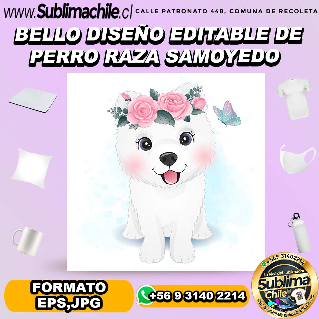 Bello diseño editable de perro raza samoyedo para sublimar - EPS,JPG 1 Bello diseño editable de perro raza samoyedo para sublimar - EPS,JPG