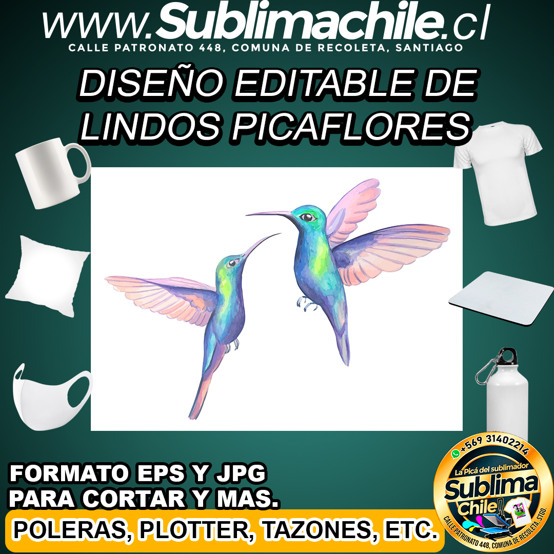 Diseño editable de hermosos picaflores para sublimar - EPS, JPG 1 Diseño editable de hermosos picaflores para sublimar - EPS, JPG