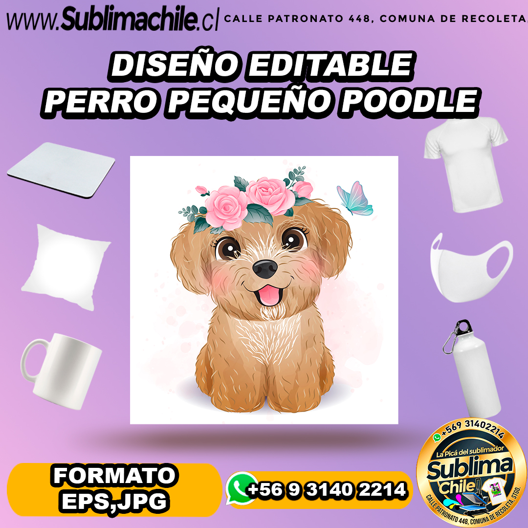Diseño editable de perro poodle para sublimar - EPS, JPG 1 Diseño editable de perro poodle para sublimar - EPS, JPG