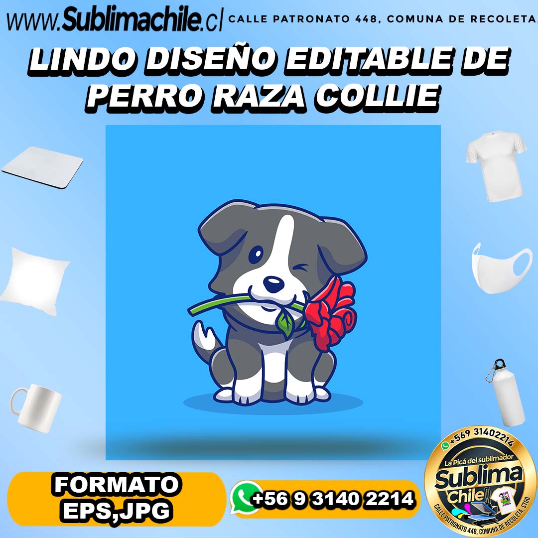 Lindo diseño editable de perro raza collie para sublimar - EPS,JPG 1 Lindo diseño editable de perro raza collie para sublimar - EPS,JPG