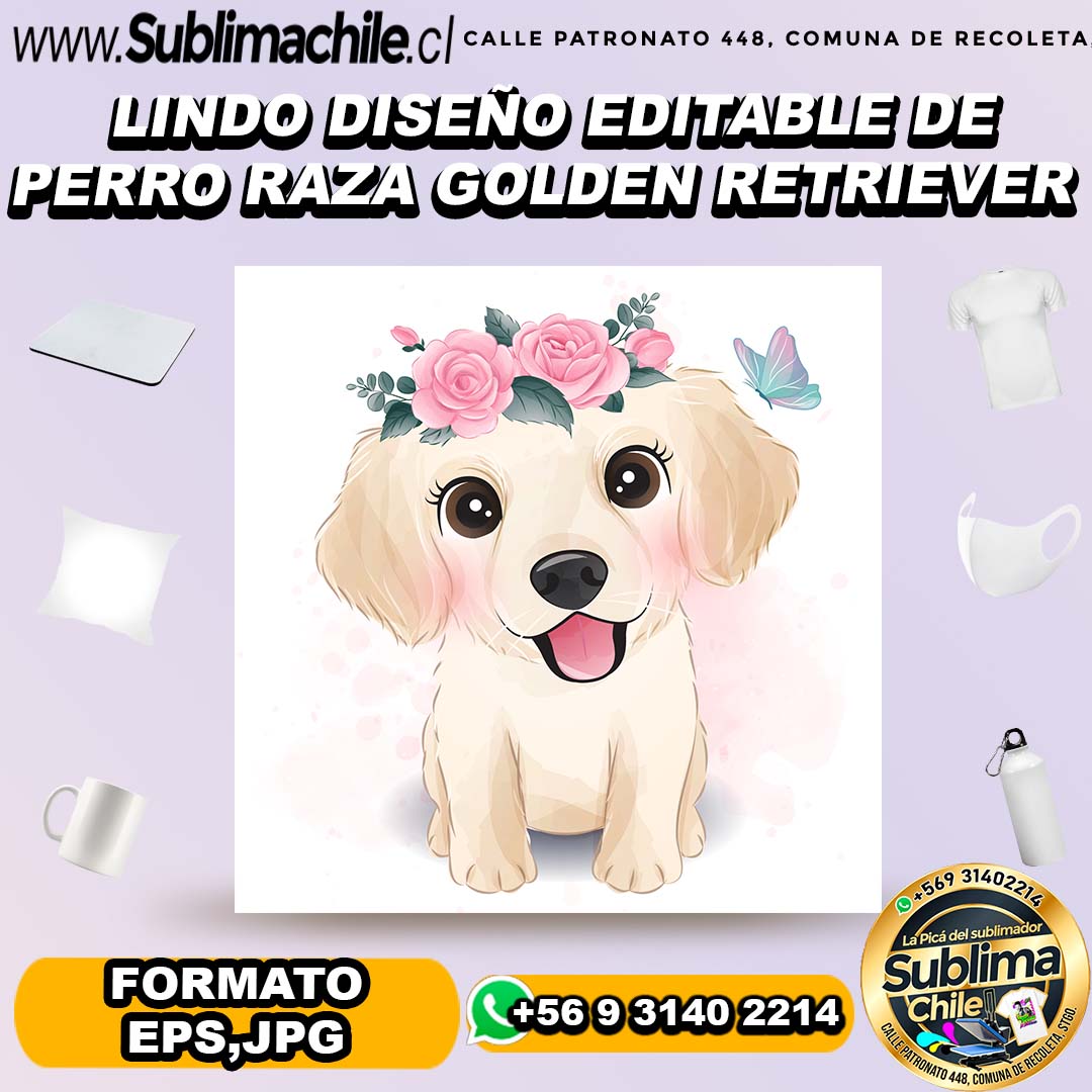 Lindo diseño editable de perro raza golden retriever para sublimar- EPS,JPG 1 Lindo diseño editable de perro raza golden retriever para sublimar- EPS,JPG