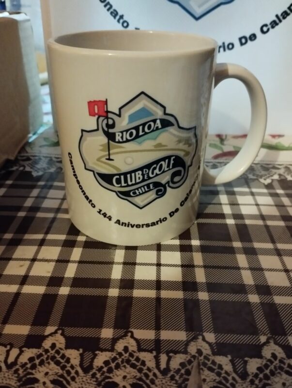 Imagen #1 de luisa jorquera abello