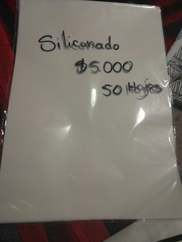 Imagen #1 de Paola Sanzana